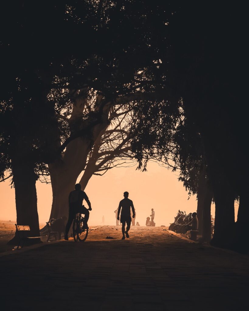 People Walking Through the Park at Sunset